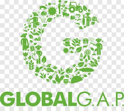 Global GAP