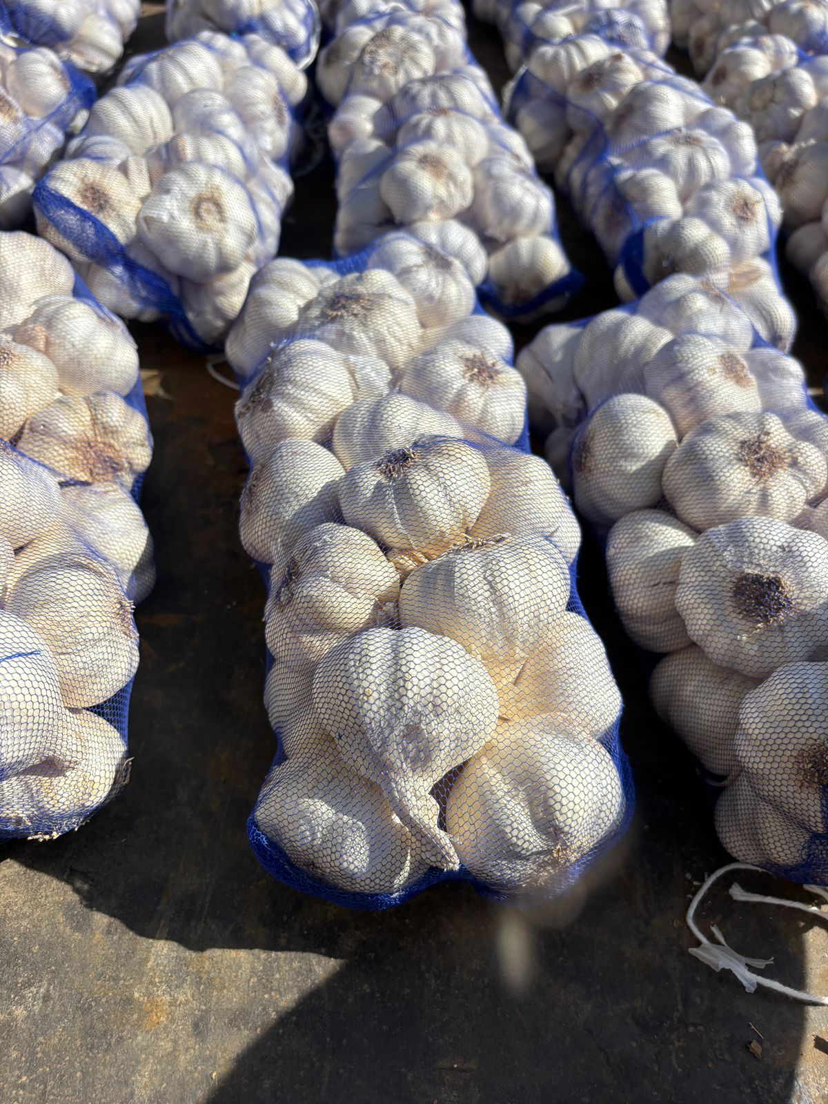 Fresh Garlic gallery image 3