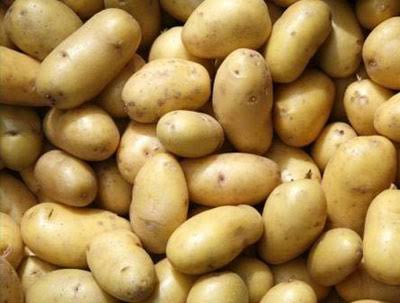 Fresh Potato gallery image 51