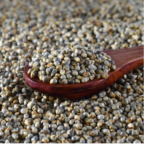 Green Millet