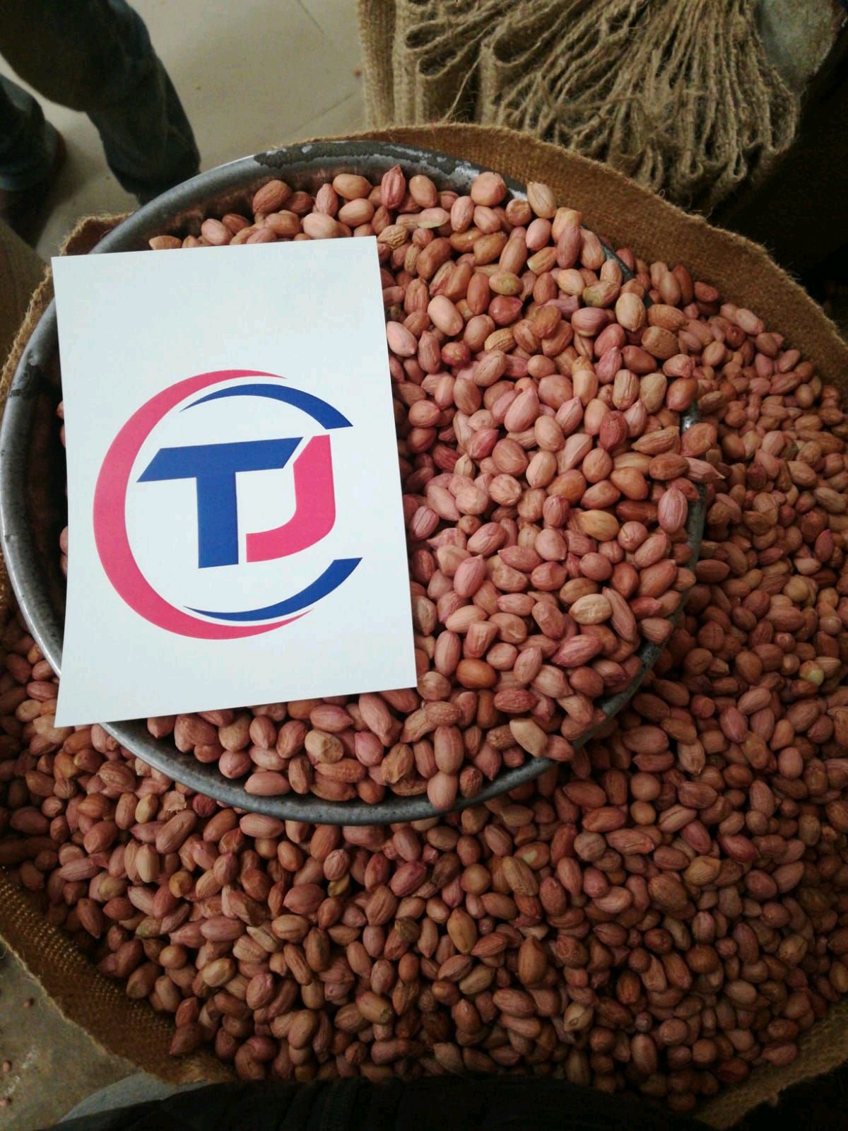 Peanut gallery image 7