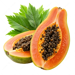 Industrial Fastener Set