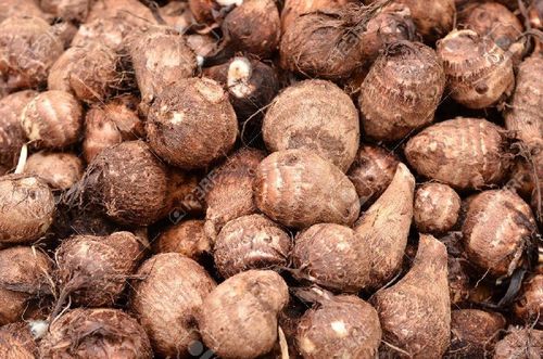 Taro Root gallery image 2