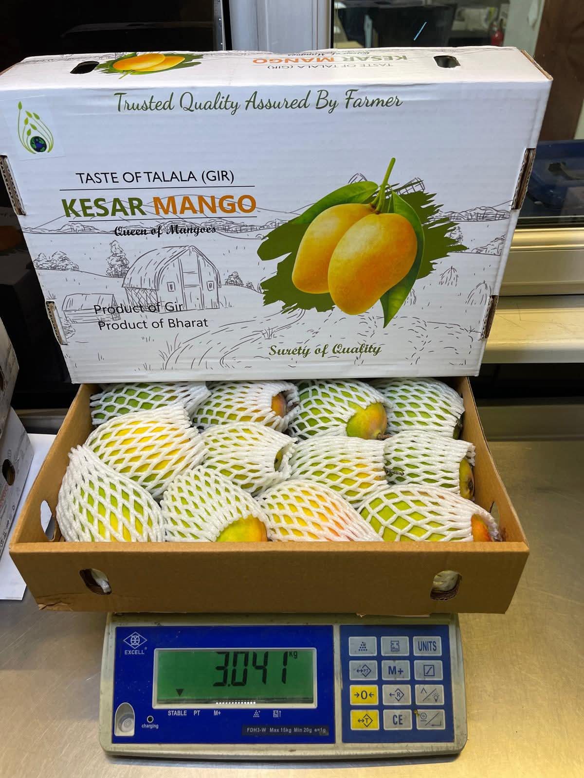 Gir Keshar Mango gallery image 4