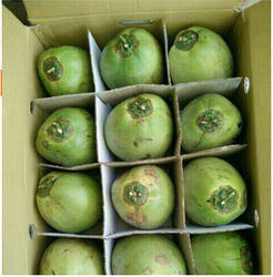 Fresh Tender Coconut gallery image 11