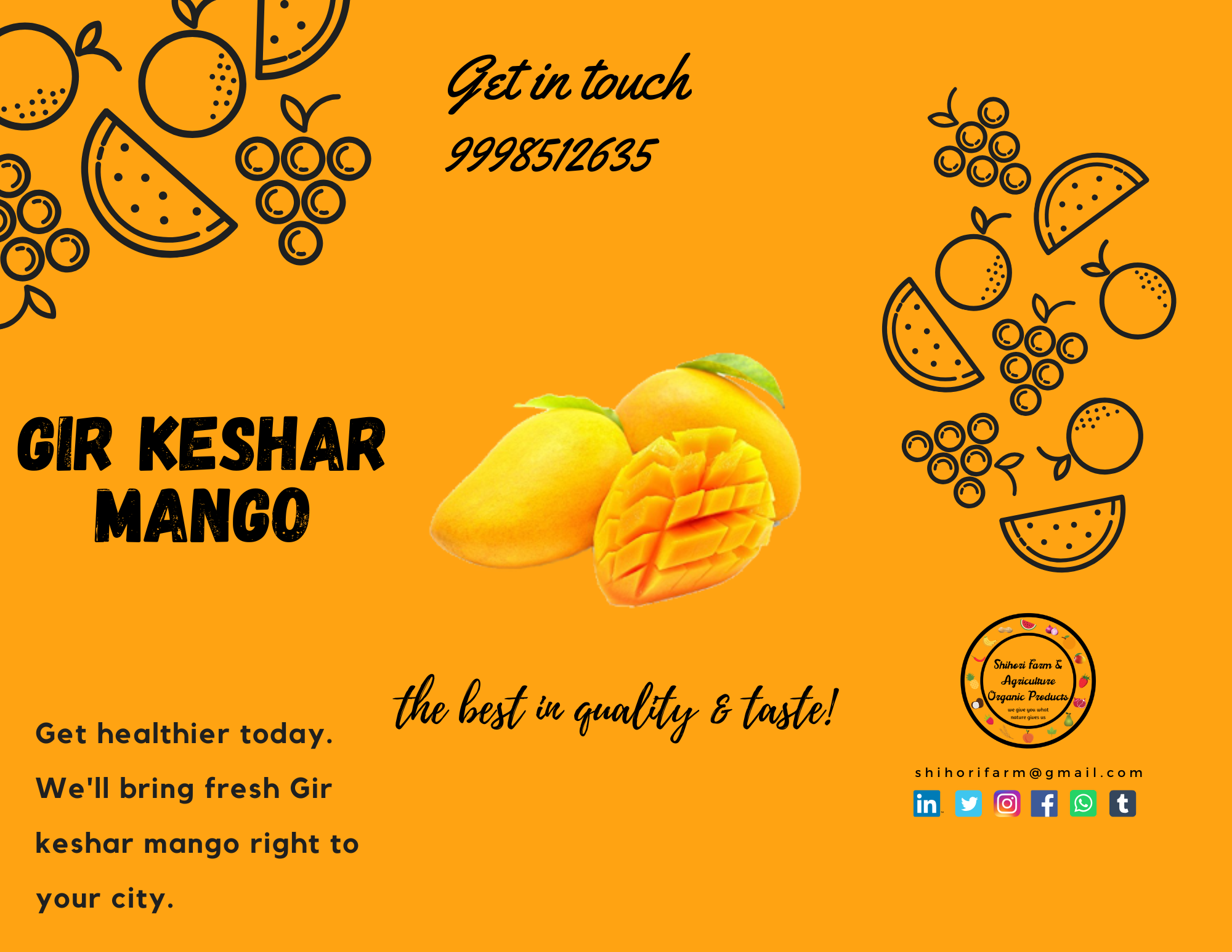 Gir Keshar Mango gallery image 9