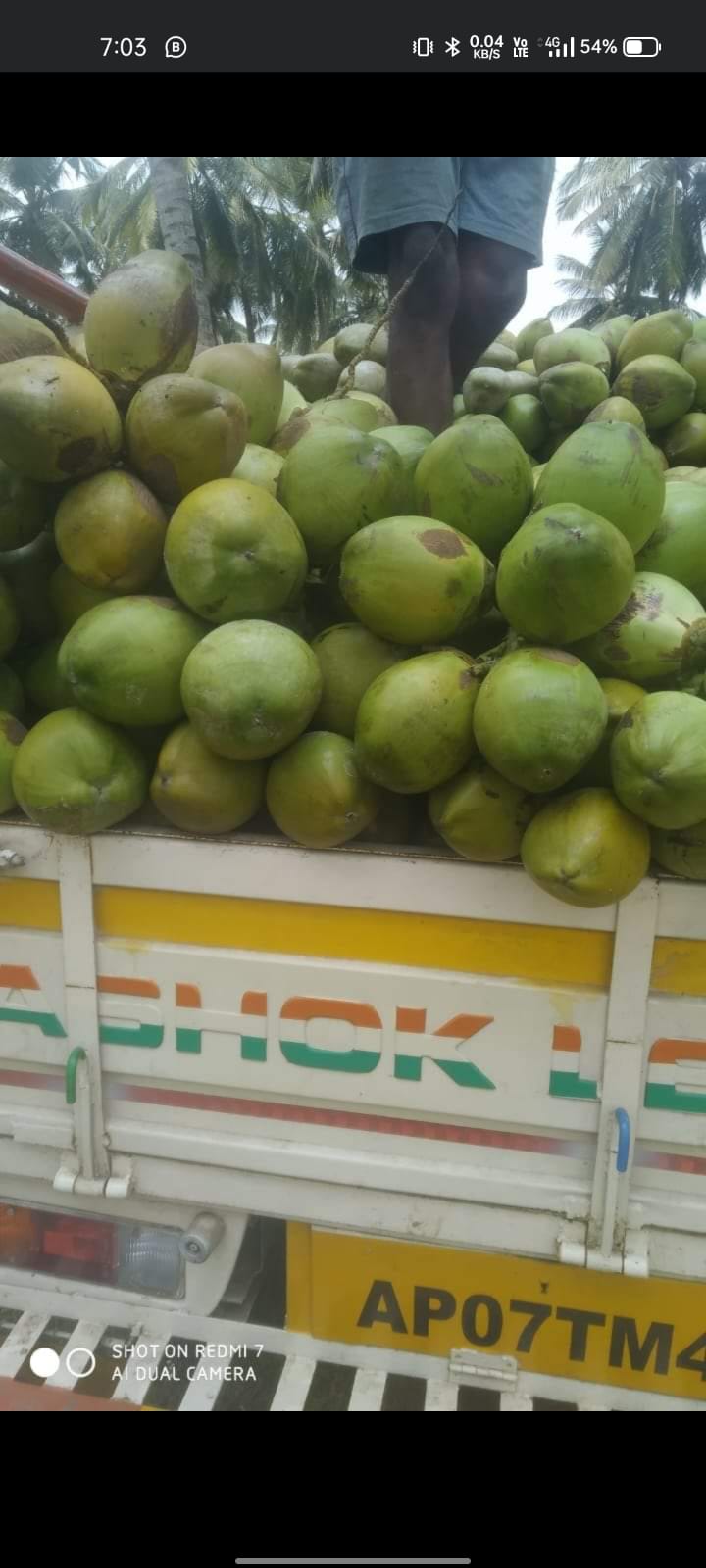 Fresh Tender Coconut gallery image 17