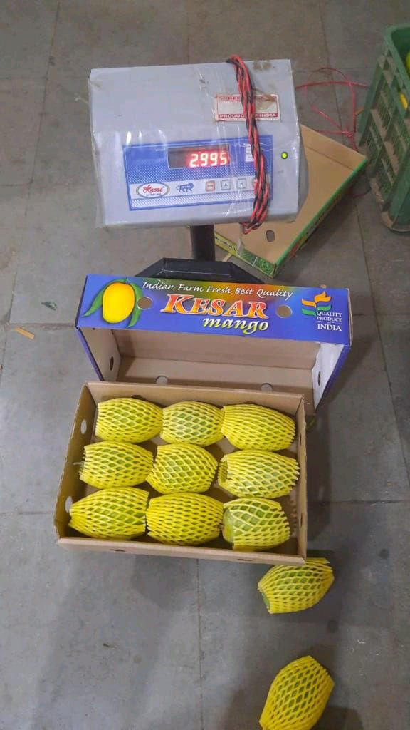 Gir Keshar Mango gallery image 13