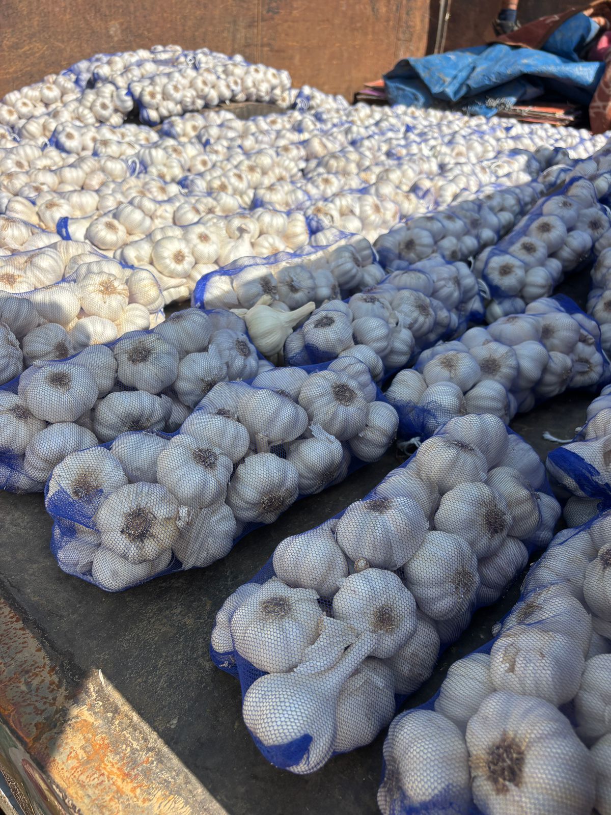 Fresh Garlic gallery image 2