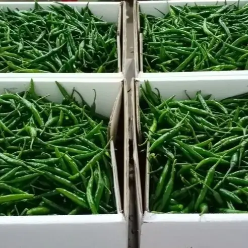 Fresh Green Chilli gallery image 2