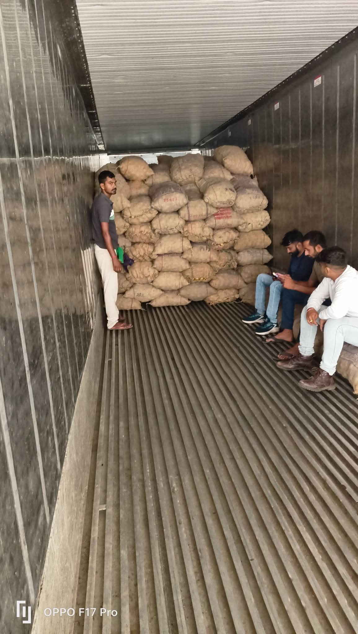 Fresh Potato gallery image 45