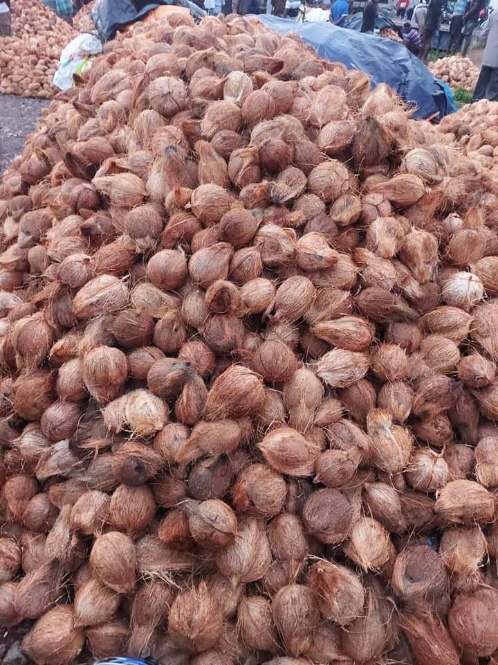 Fresh Tender Coconut gallery image 8