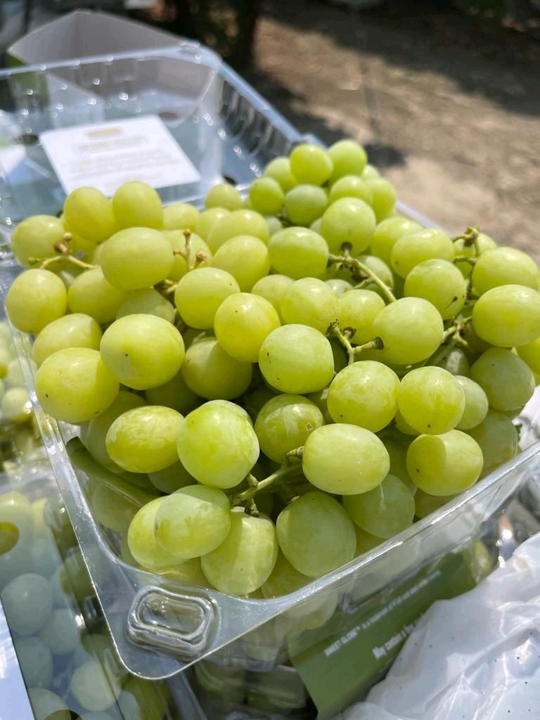 Fresh Grapes gallery image 4