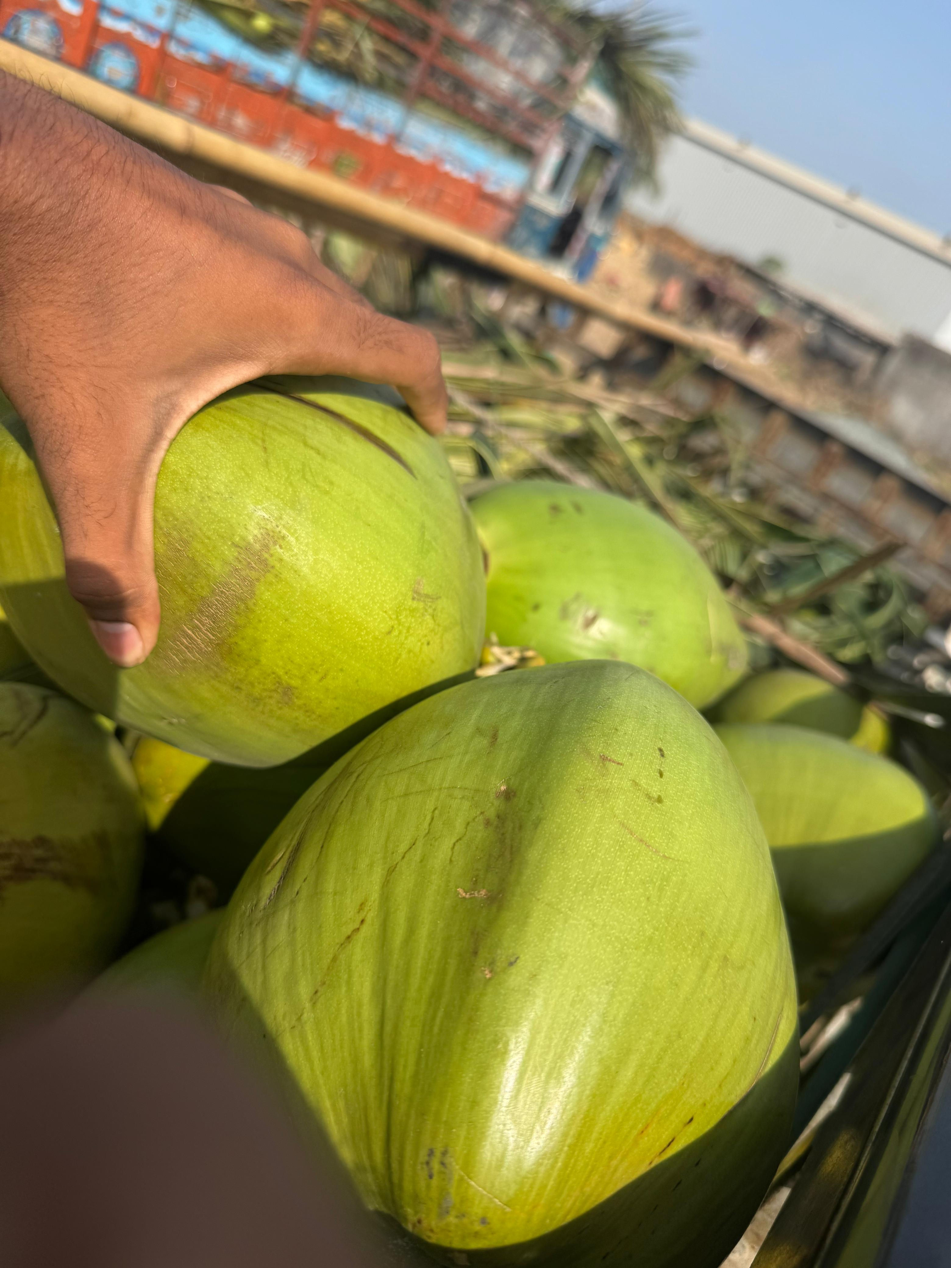Fresh Tender Coconut gallery image 2