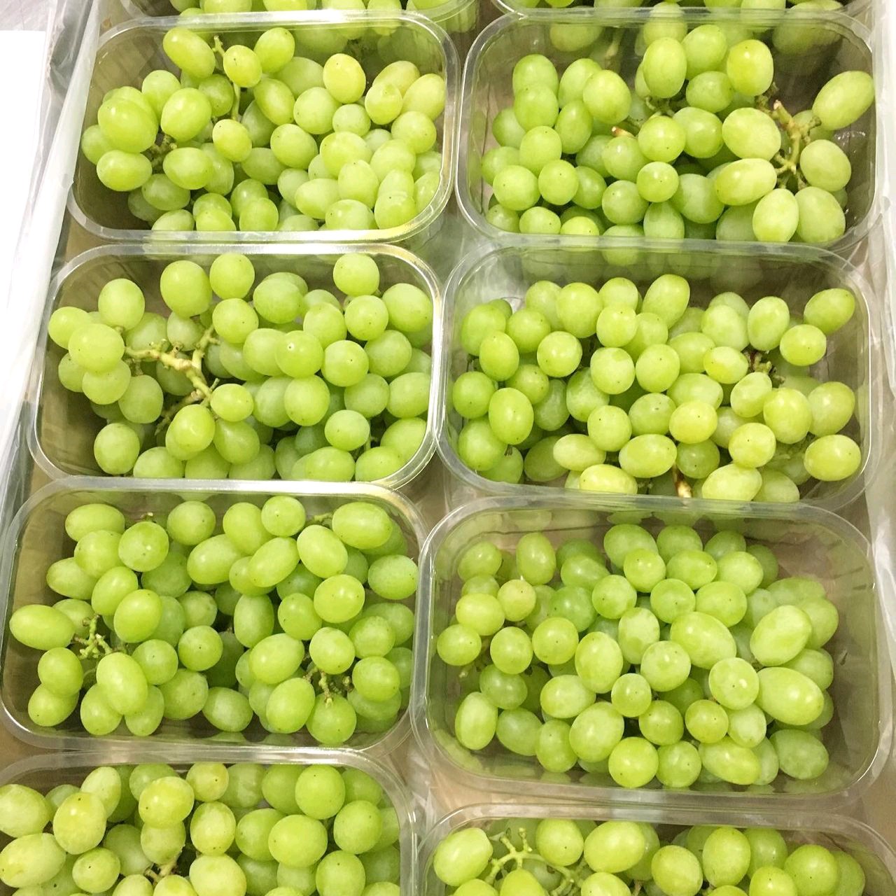 Fresh Grapes