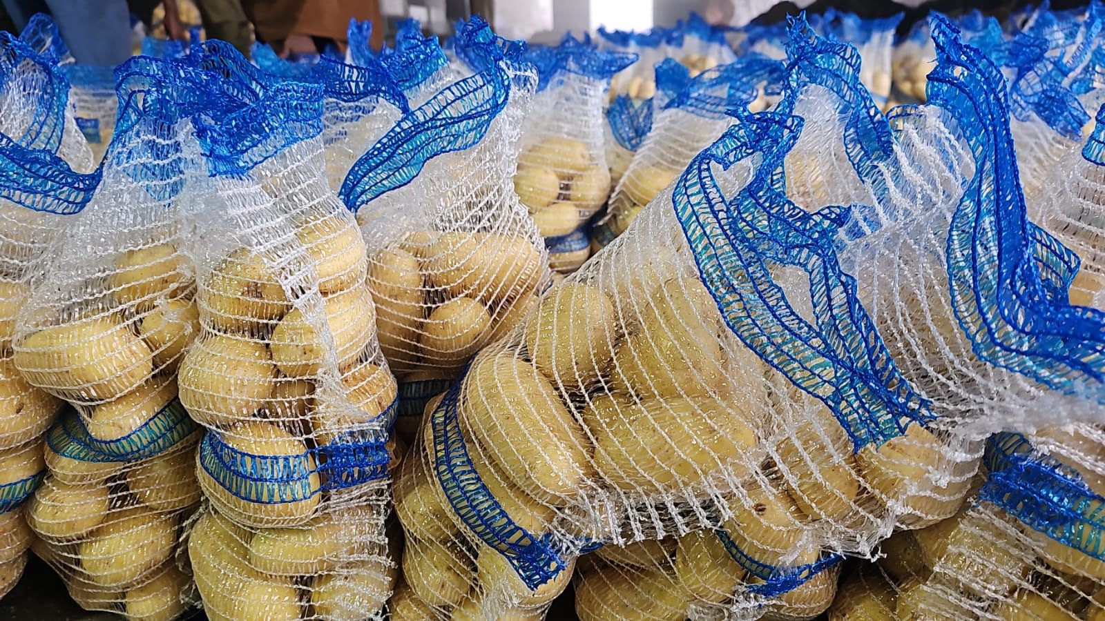 Fresh Potato gallery image 25