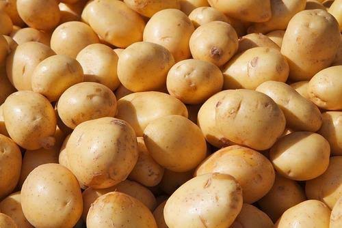 Fresh Potato gallery image 55