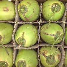Fresh Tender Coconut gallery image 27