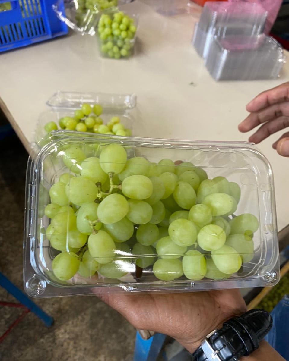 Fresh Grapes gallery image 5