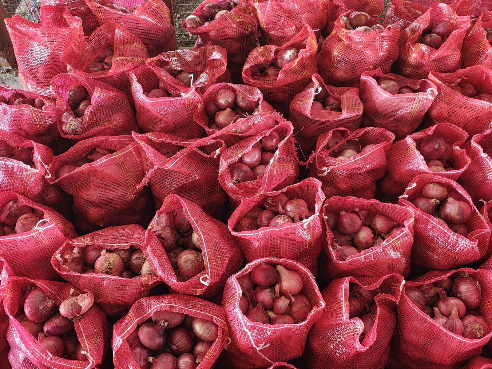 Fresh Red Onion gallery image 9