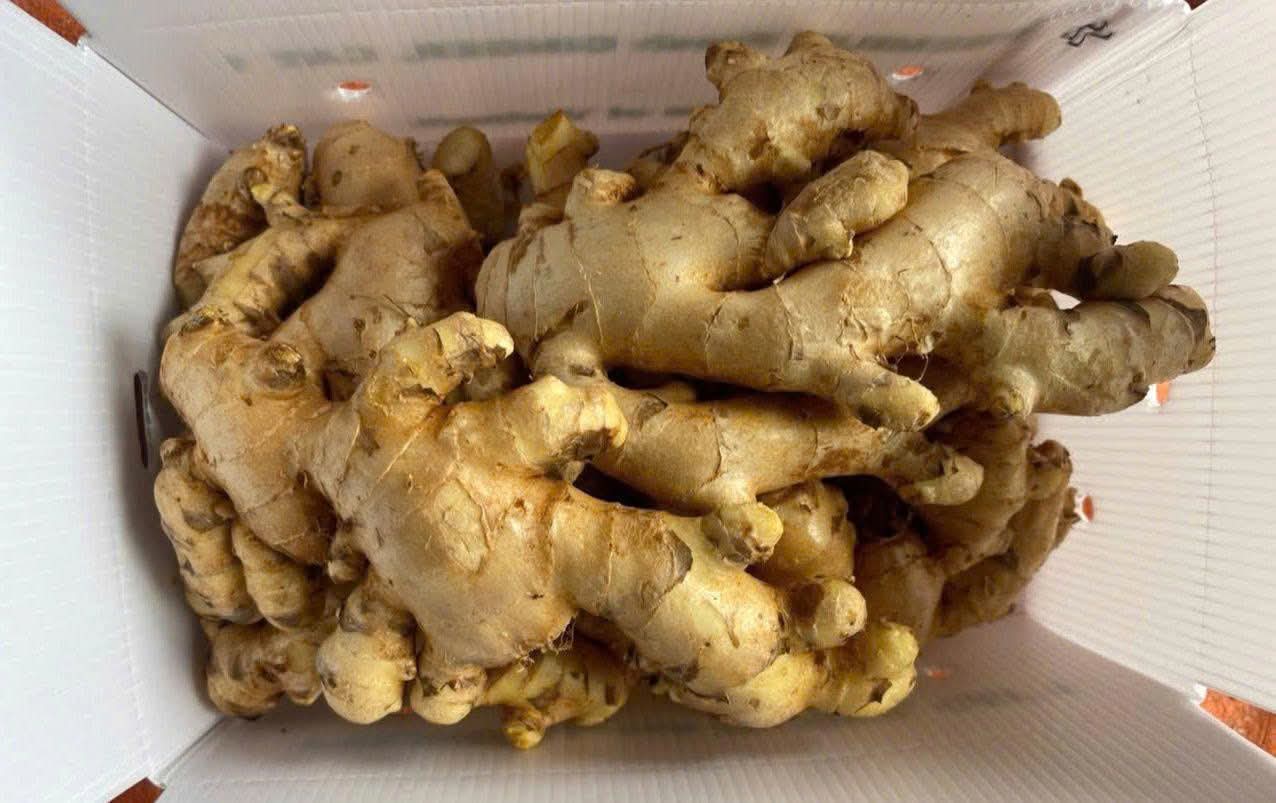 Fresh Ginger gallery image 6