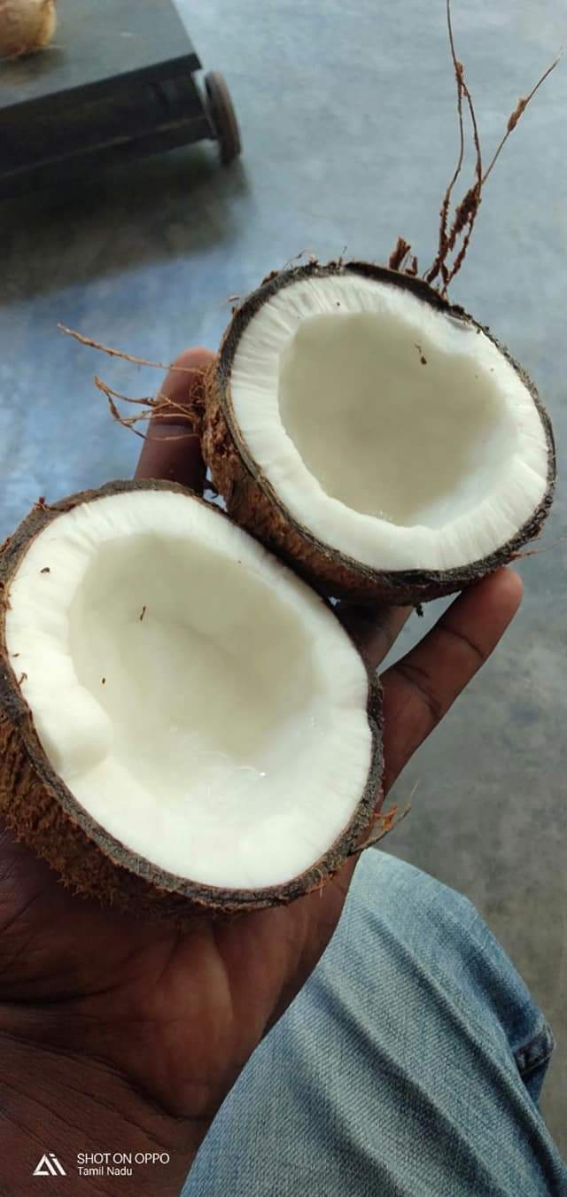 Fresh Tender Coconut gallery image 16