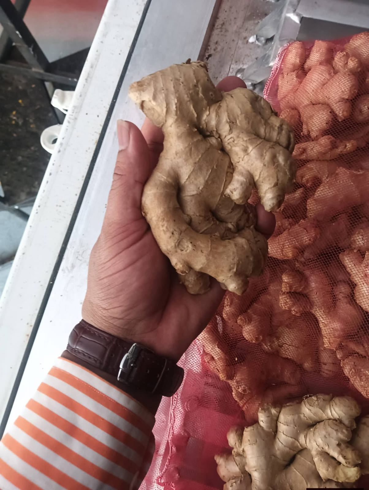 Fresh Ginger gallery image 7