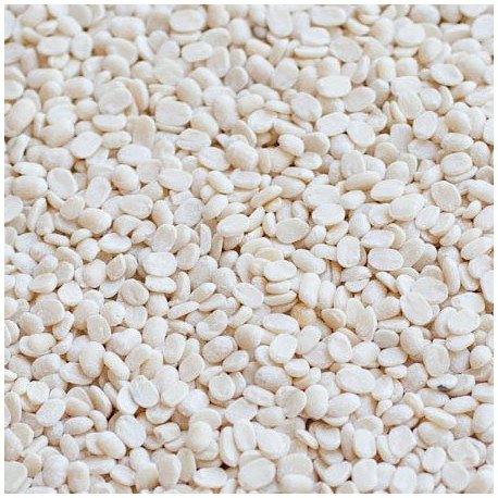 Blackgram (Urad)