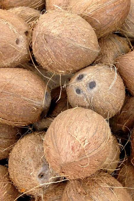 Fresh Tender Coconut gallery image 24