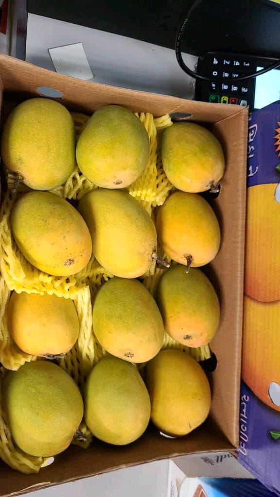 Gir Keshar Mango gallery image 14