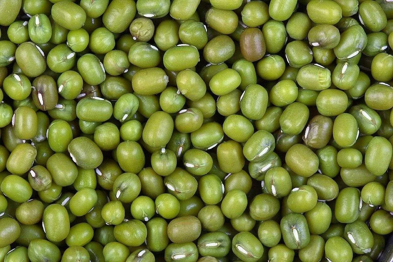 Green Gram (Moong)