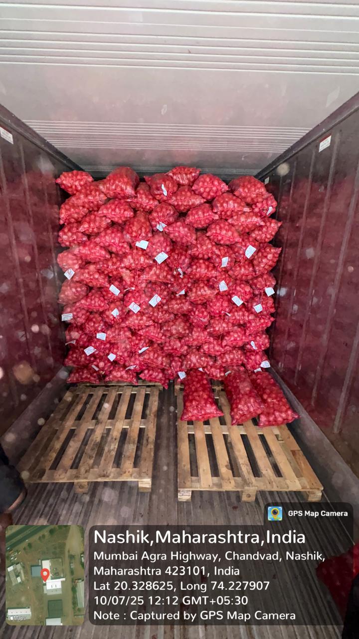 Fresh Red Onion gallery image 18
