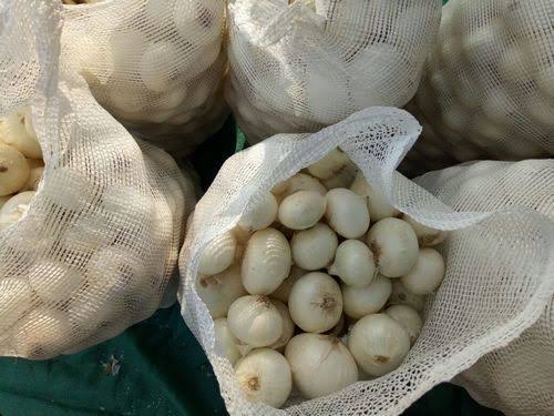 Fresh White Onion gallery image 4