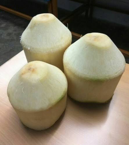 Fresh Tender Coconut gallery image 9